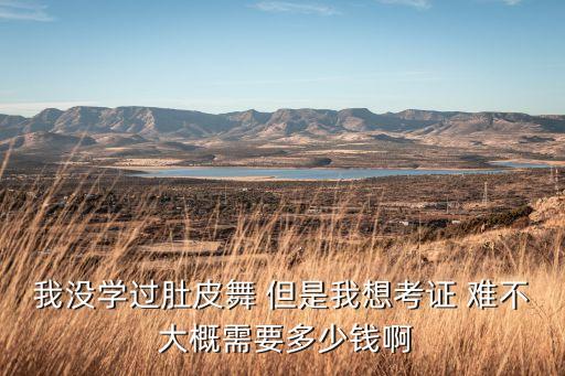 舞蹈考证一般多少钱，幼师舞蹈证多少钱