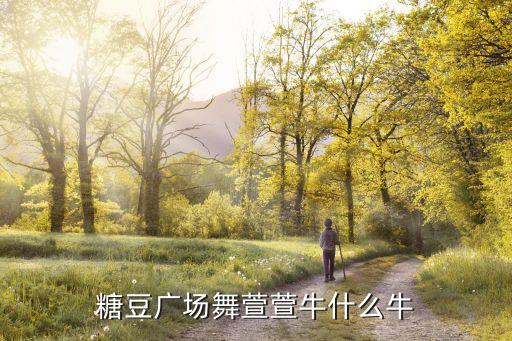 你牛什么牛舞蹈，广场舞你牛甚么牛mp3