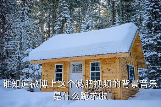 茉雅减肥操背景音乐是什么，茉雅减肥操1的背景音乐