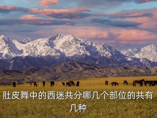 肚皮舞中的西迷共分哪几个部位的共有几种