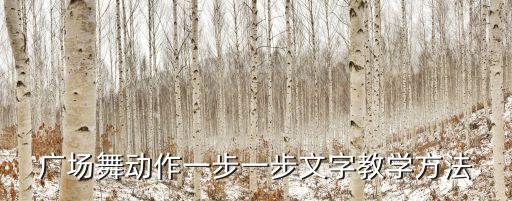 广场舞动作一步一步文字教学方法