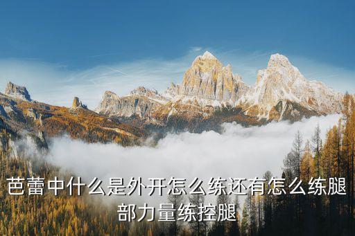 芭蕾中什么是外开怎么练还有怎么练腿部力量练控腿