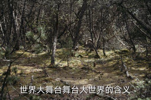 世界大舞台舞台大世界的含义