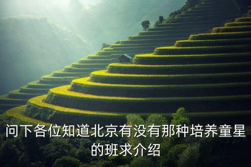 问下各位知道北京有没有那种培养童星的班求介绍