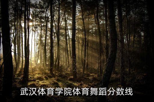 武汉体育学院体育舞蹈分数线