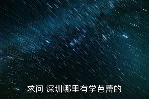 求问 深圳哪里有学芭蕾的