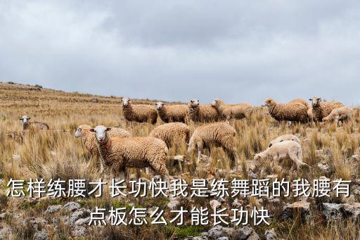 怎样练腰才长功快我是练舞蹈的我腰有点板怎么才能长功快