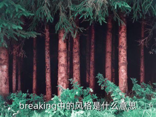 什么是是舞蹈的的个人风格，什么是舞蹈