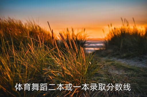 体育舞蹈二本或一本录取分数线