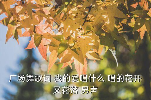 广场舞歌词 我的爱唱什么 唱的花开又花落 男声