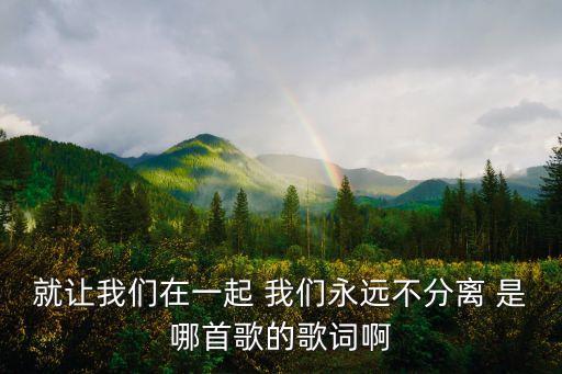 就让我们在一起 我们永远不分离 是哪首歌的歌词啊