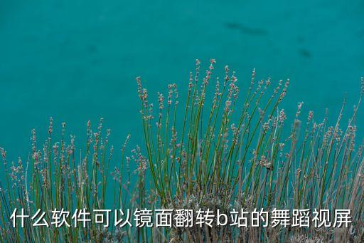什么软件可以镜面翻转b站的舞蹈视屏
