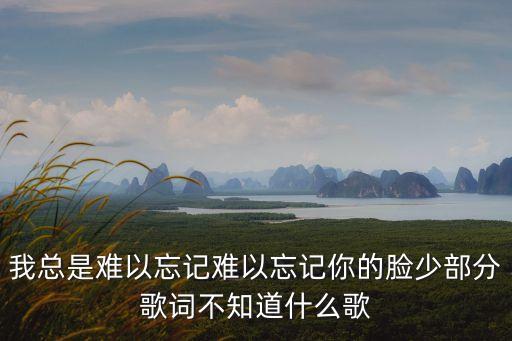 我总是难以忘记难以忘记你的脸少部分歌词不知道什么歌
