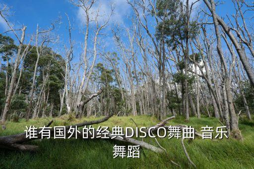 谁有国外的经典DISCO舞曲 音乐舞蹈