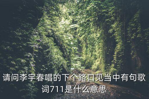 请问李宇春唱的下个路口见当中有句歌词711是什么意思
