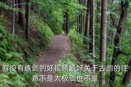 练武功的有什么视频，有没有练剑的好视频最好关于古剑的注意不是太极剑也不是