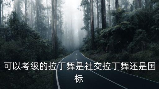 可以考级的拉丁舞是社交拉丁舞还是国标