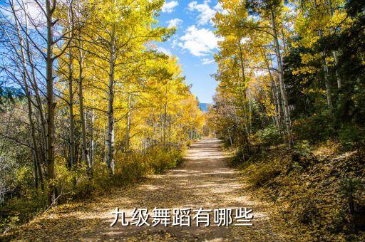九级舞蹈有哪些