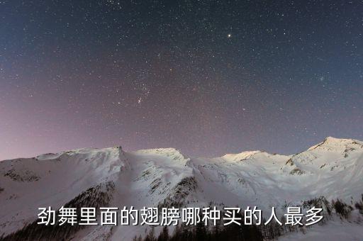 劲舞里面的翅膀哪种买的人最多