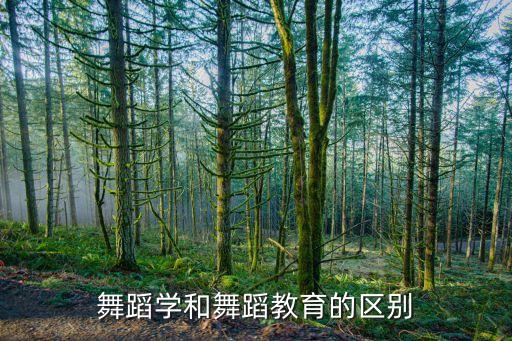 舞蹈学和舞蹈教育的区别