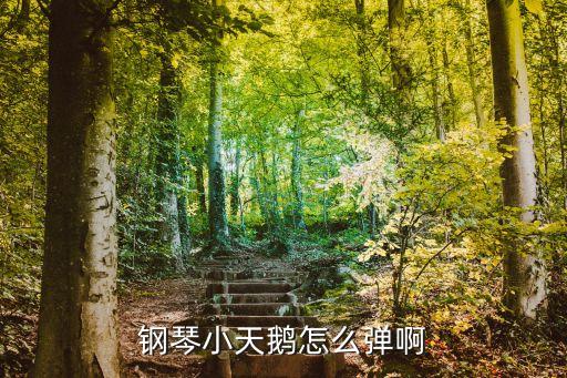 小天鹅钢琴曲教学视频，四小天鹅舞曲钢琴曲的五线谱