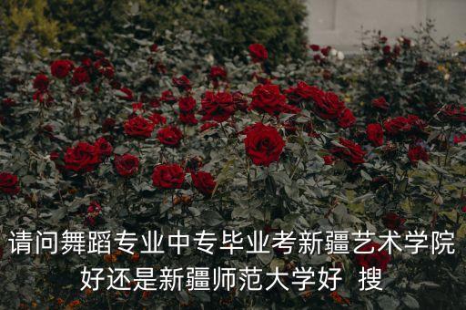 请问舞蹈专业中专毕业考新疆艺术学院好还是新疆师范大学好  搜