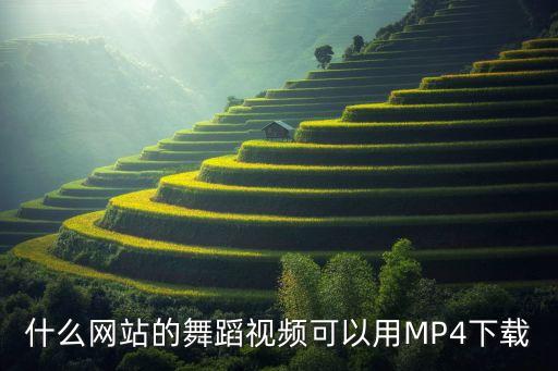 什么网站的舞蹈视频可以用MP4下载