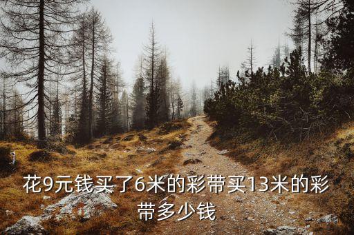 花9元钱买了6米的彩带买13米的彩带多少钱