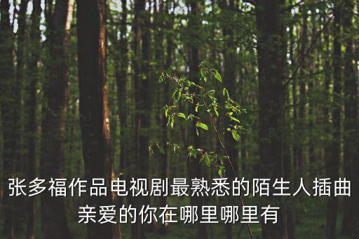 张多福作品电视剧最熟悉的陌生人插曲亲爱的你在哪里哪里有