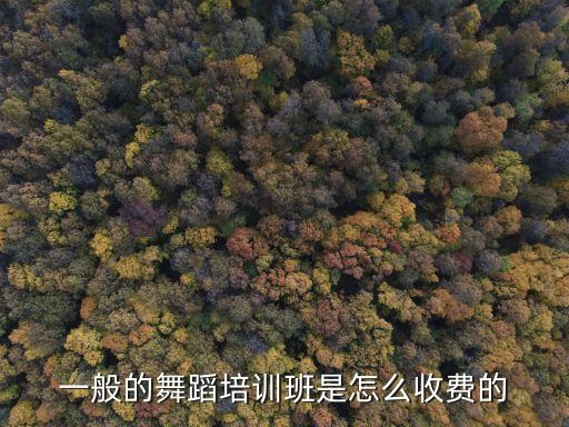 一般的舞蹈培训班是怎么收费的