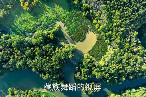 藏族舞蹈的视屏