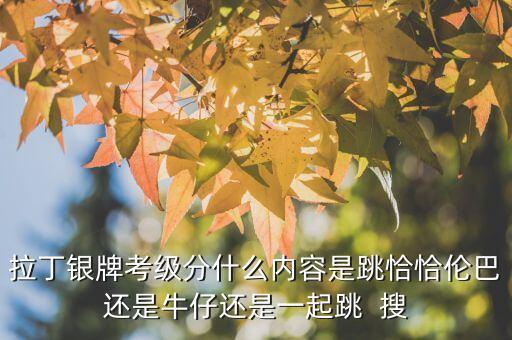 拉丁银牌考级分什么内容是跳恰恰伦巴还是牛仔还是一起跳  搜