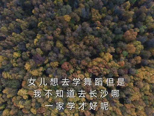 女 儿 想 去 学 舞 蹈 但 是 我 不 知 道 去 长 沙 哪 一 家 学 才 好 呢
