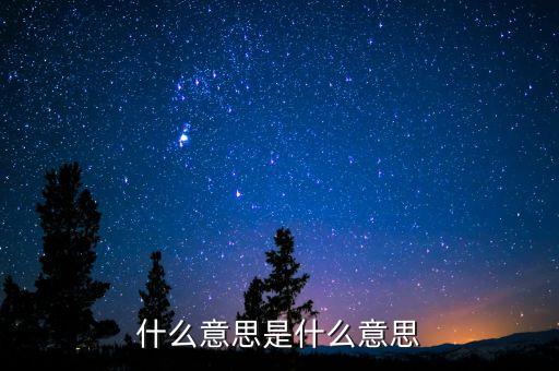 什么意思是什么意思