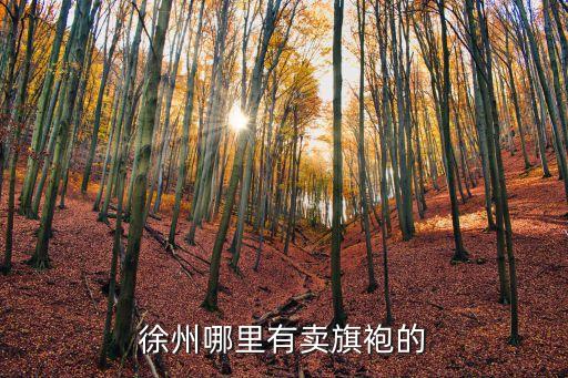 徐州哪里有卖旗袍的