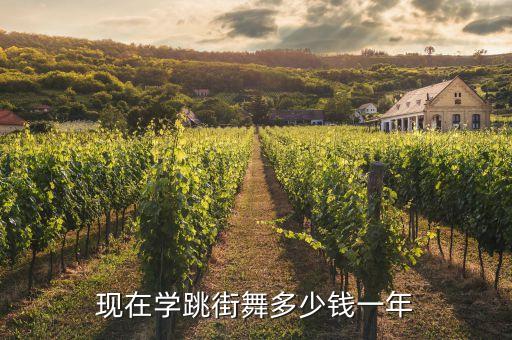现在学跳街舞多少钱一年