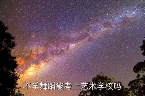 不学舞蹈能考上艺术学校吗