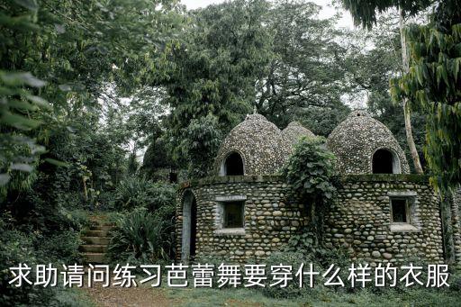 求助请问练习芭蕾舞要穿什么样的衣服