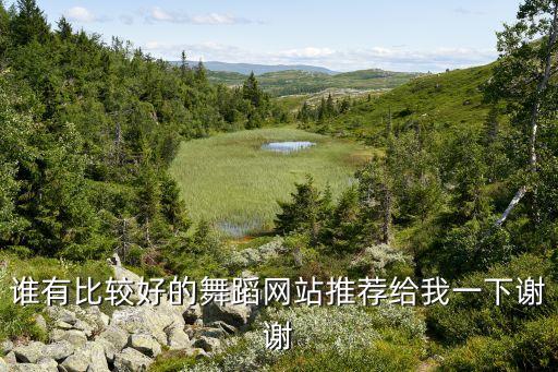 谁有比较好的舞蹈网站推荐给我一下谢谢