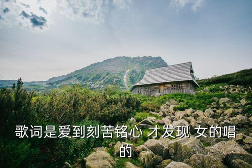 歌词 梦里都是你 怎么能忘记，歌词是爱到刻苦铭心 才发现 女的唱的