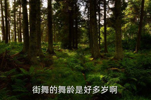 街舞的舞龄是好多岁啊