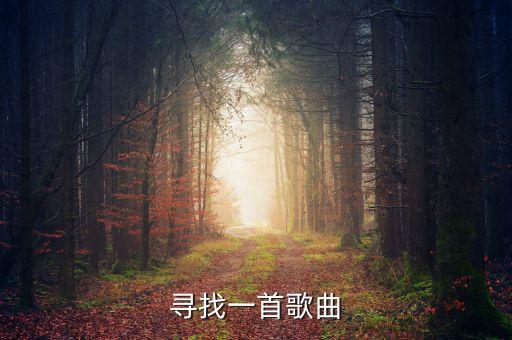 寻找一首歌曲