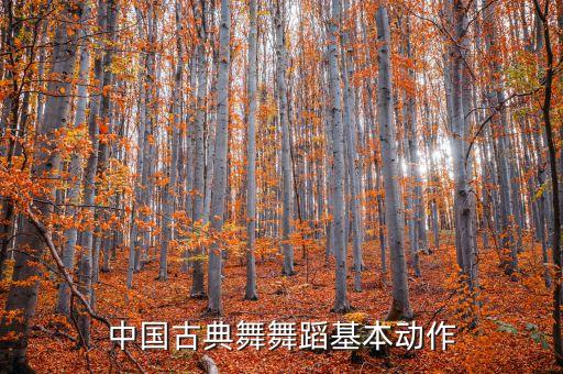 古典舞梅花泪北舞身韵组合，最美的古典舞梅花泪団扇舞