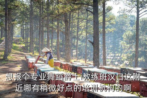 想报个专业舞蹈爵士i教练班汉口这附近哪有稍微好点的培训机构的啊