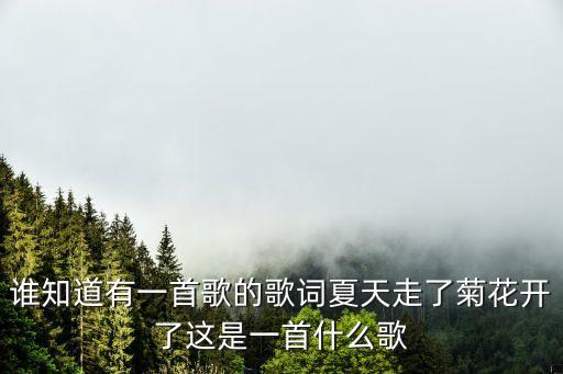 谁知道有一首歌的歌词夏天走了菊花开了这是一首什么歌