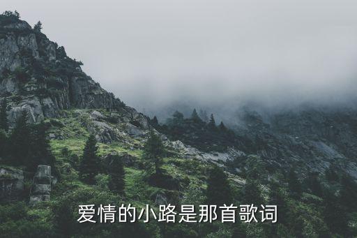 杨丽萍爱你流过多少泪，有一首歌中有一句 流过多少泪 等过多少夜 是个女的唱的 是什么歌  搜