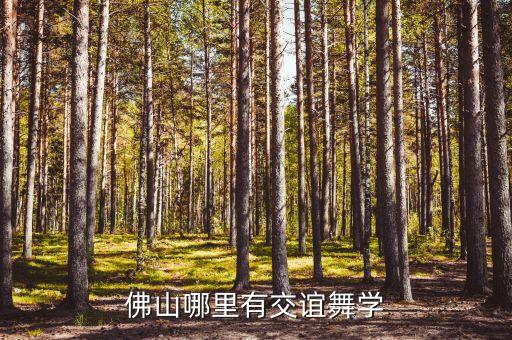 哪个地方有学跳交谊舞，大良哪里可以学跳舞呀交谊舞等等