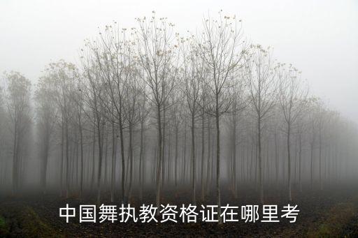 中国舞教师证怎么考，中国舞执教资格证在哪里考