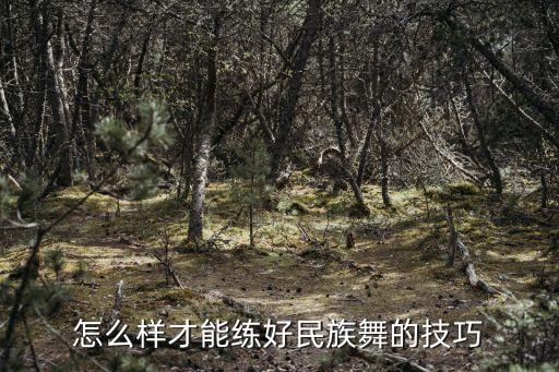 怎么样才能练好民族舞的技巧