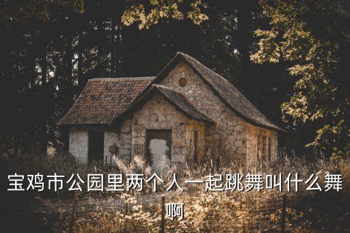 宝鸡市公园里两个人一起跳舞叫什么舞啊